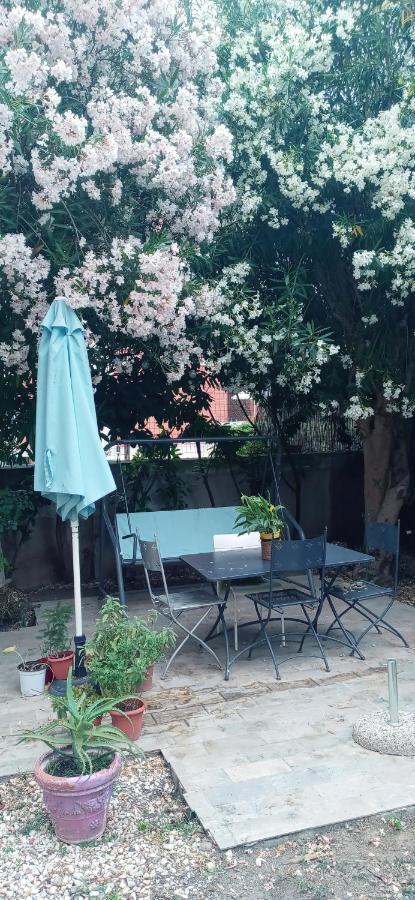 리보르노 Gli Oleandri 빌라 외부 사진